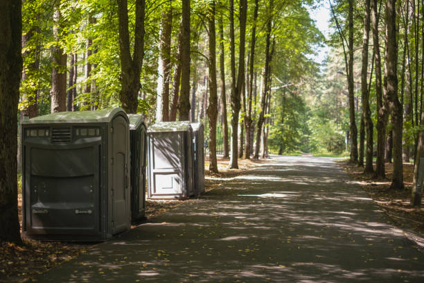Best High-end porta potty rental  in Alton, IA